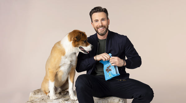 Chris Evans sits next to his dog dodger while opening a bag of Jinx dental chews