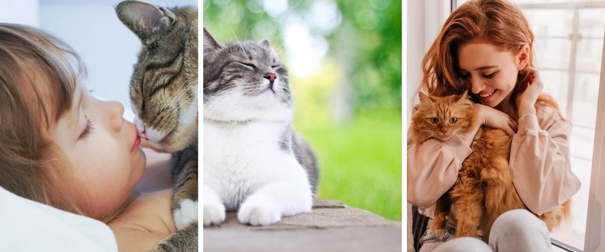 17-surprising-ways-cat-tells-love