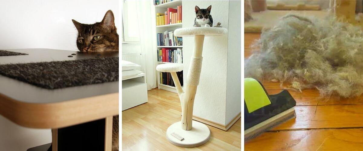How-to-clean-a-cat-tree