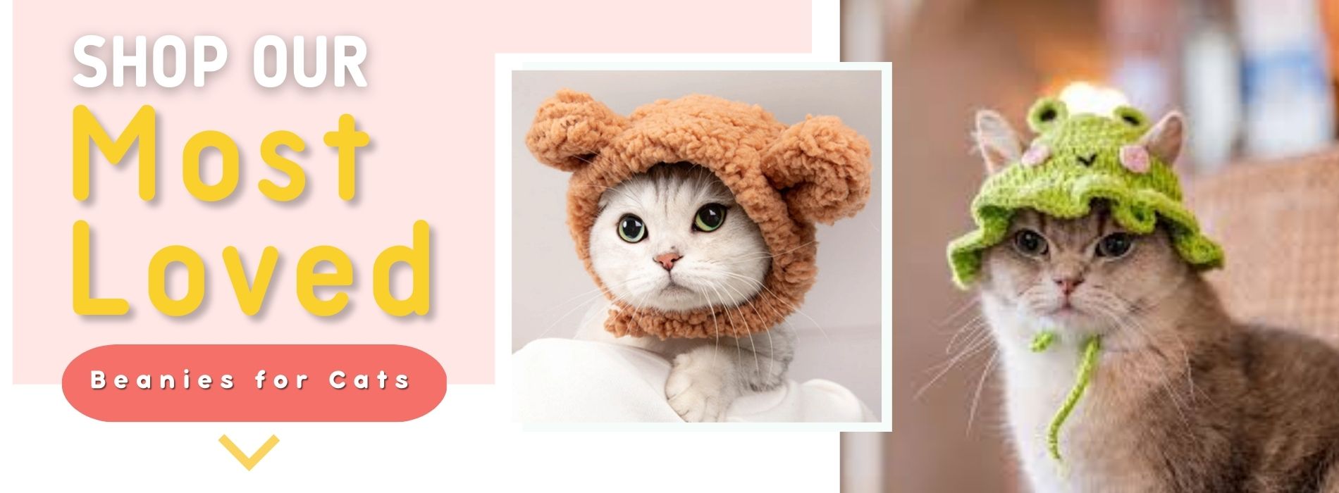 beanies-for-cats