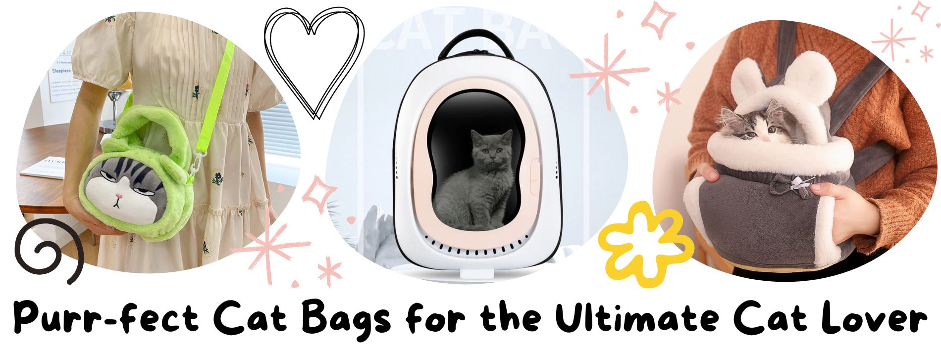 cat-bag