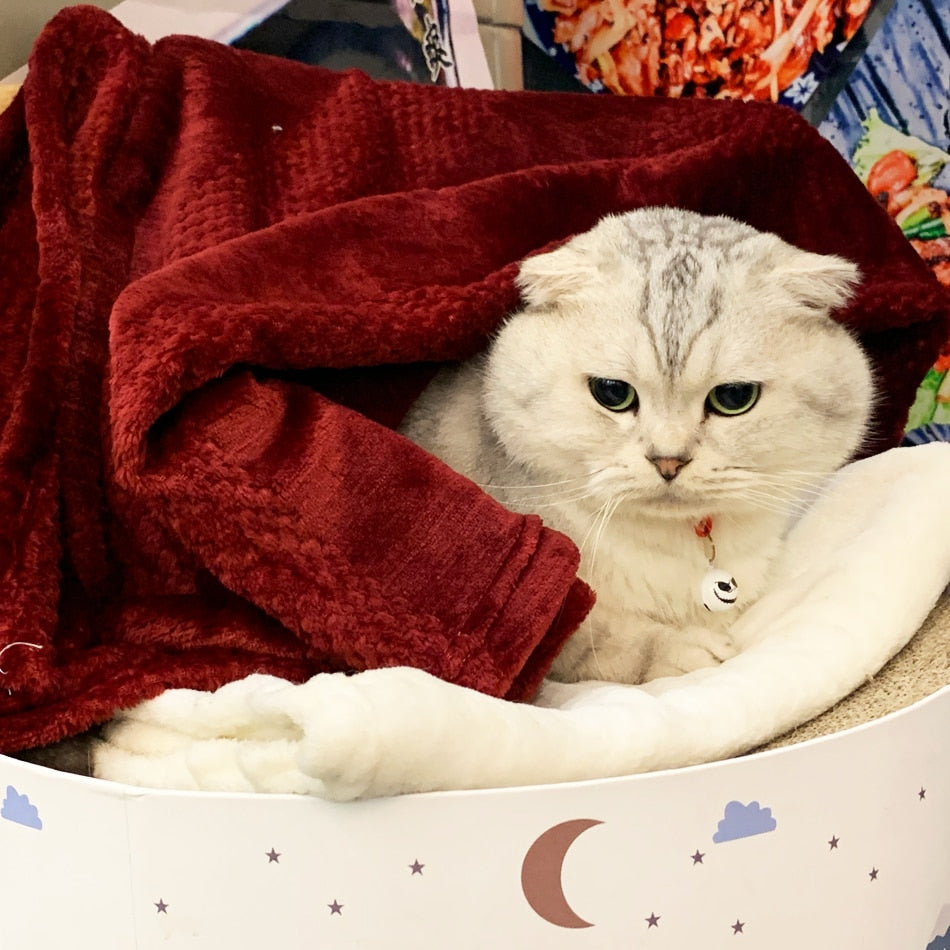 DUO Reversible Cotton Cozy Cat Blanket / Halloween Orange Edition