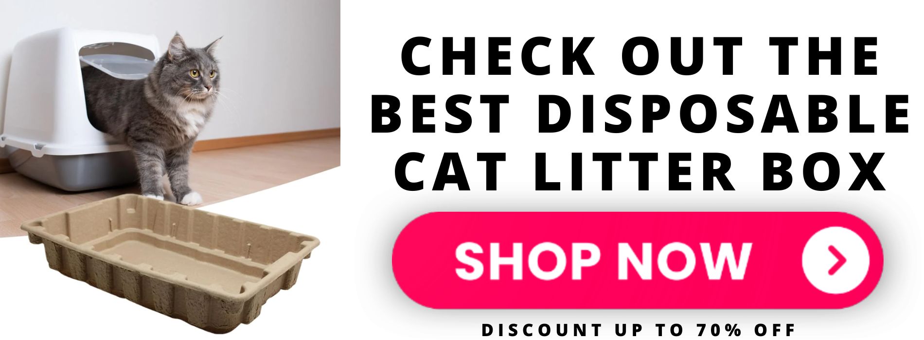 disposable-cat-litter-box