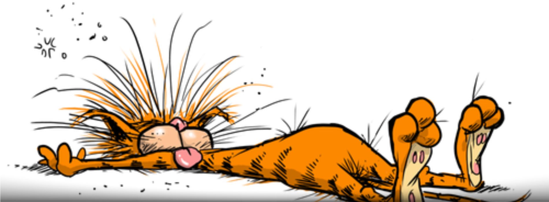 faimoase-desene animate-pisici-Bill the Cat (Bloom County)