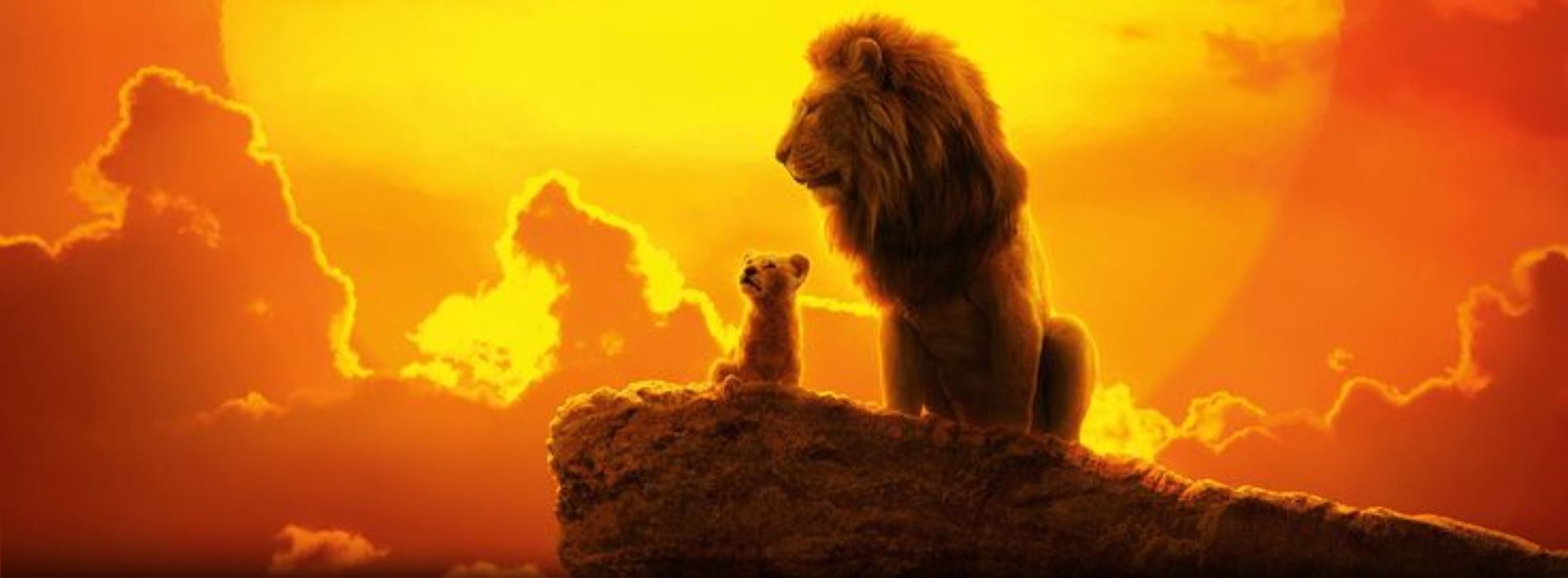 famous-cartoon-cats-Mufasa (The Lion King)