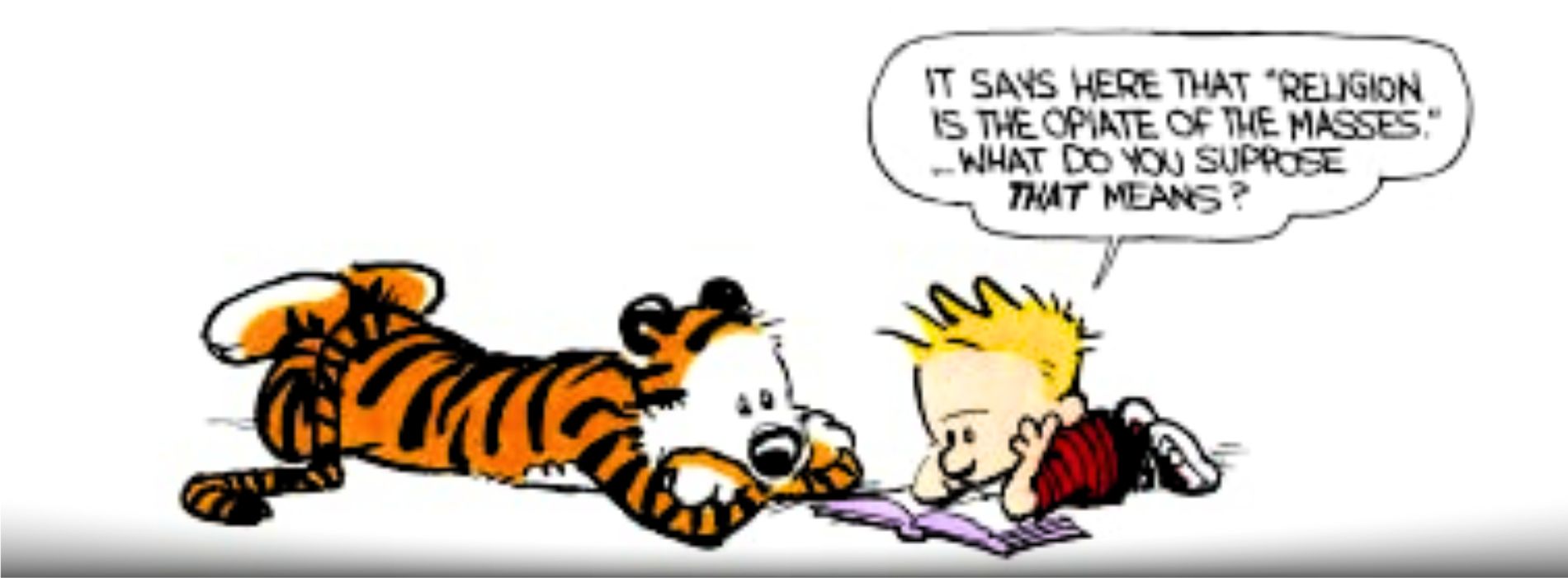 chats-célèbres-de-dessins animés- Hobbes (Calvin et Hobbes)