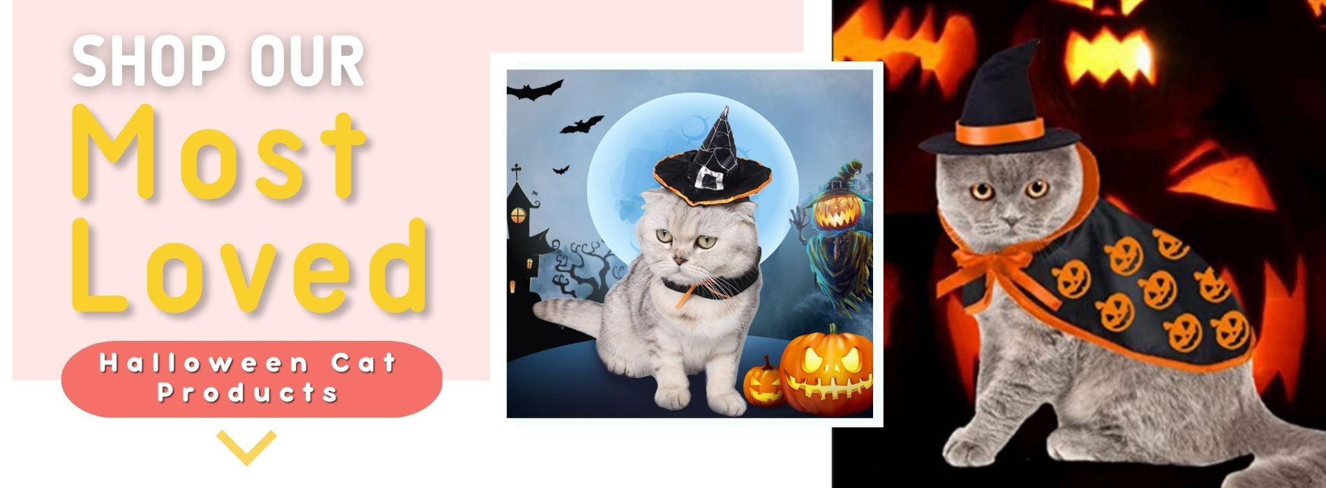 halloween-cat-products-gifts