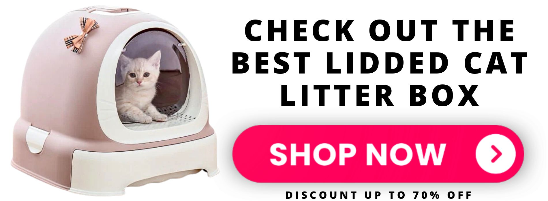 lidded-cat-litter-box