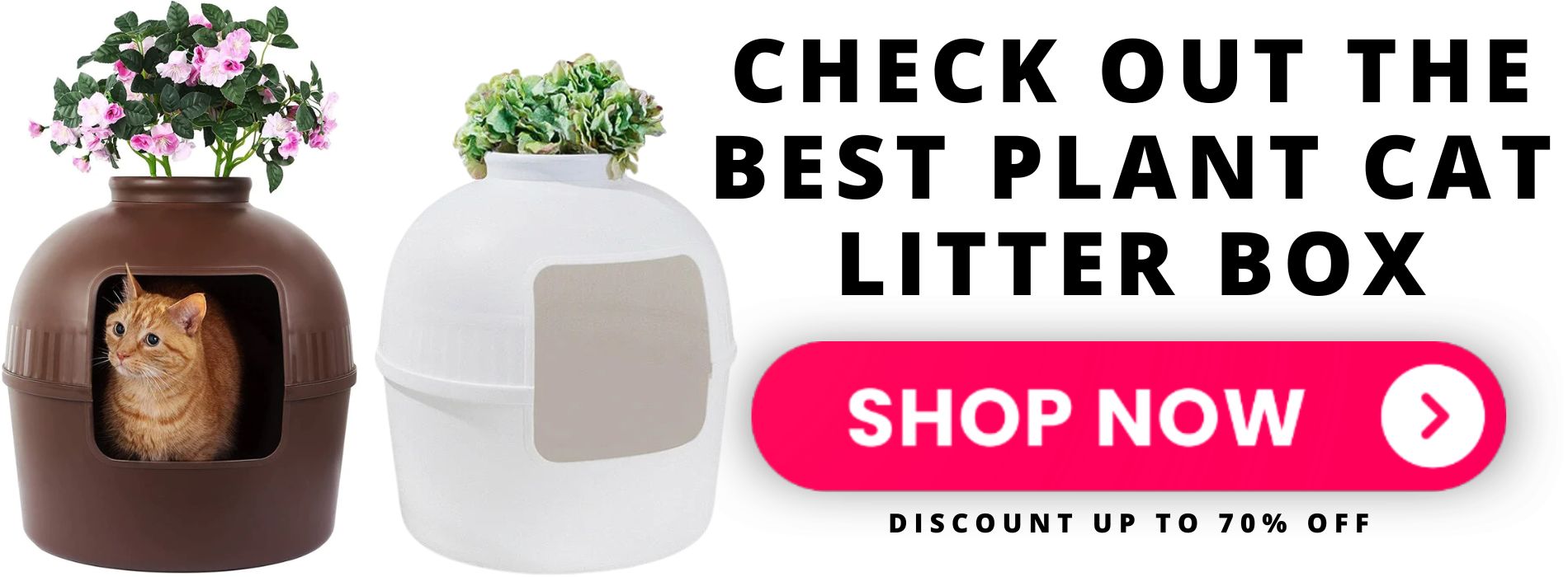 plant-cat-litter-box