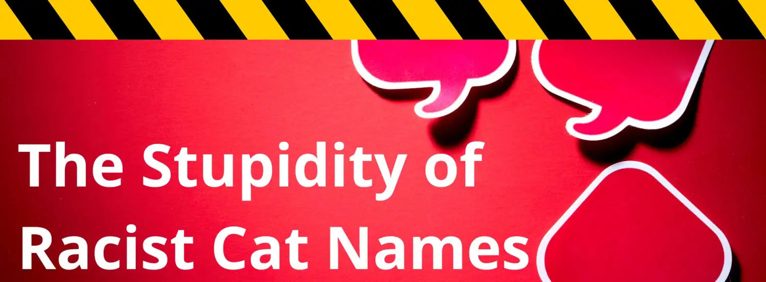 razzist-cat-names