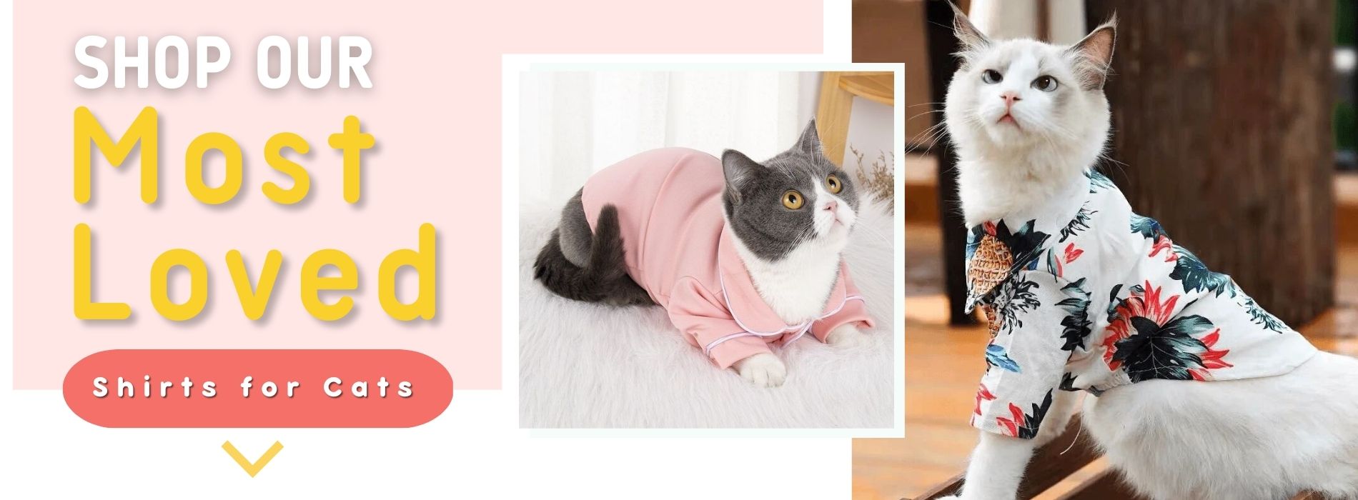 shirts-for-cats