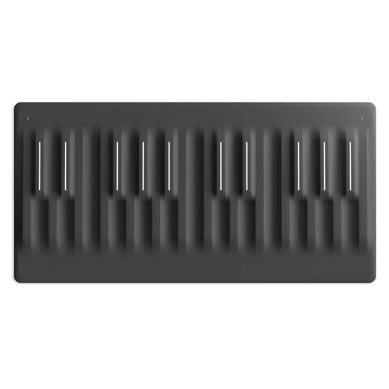 Roli Seaboard Block 24-Note Keyboard Controller | PSSL ProSound