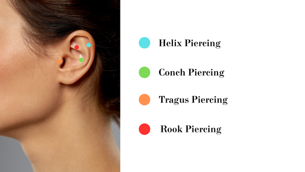 types of piercings depicted