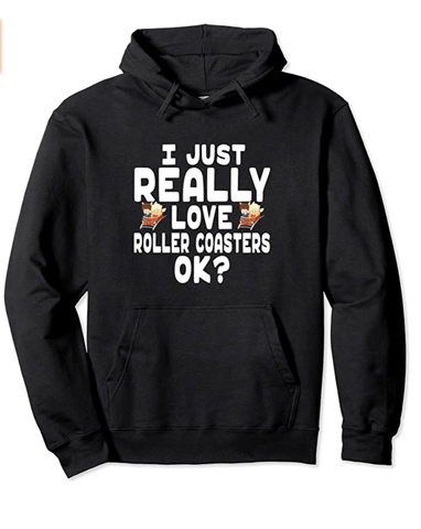 I Love Roller Coasters - Cute Theme Park Vacation Pullover Hoodie perfect for a Christmas gift 