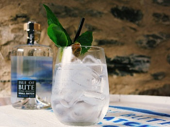 Bute Island Gin & Tonic Serve