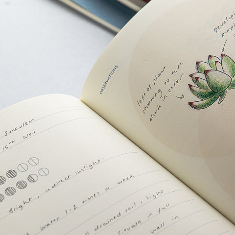 Studio Milligram Grow Life Journal with an open page showing a circle layout with a sketch of a small succulent