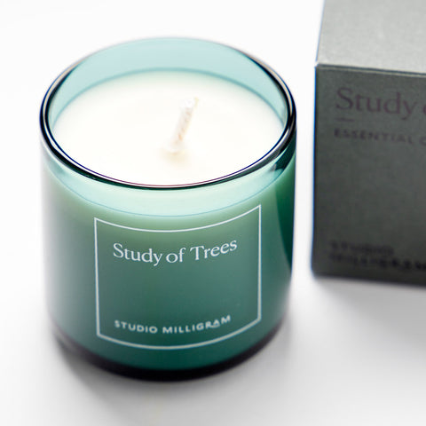 Studio Milligram's Essential Oil Candle in Study of Trees scent [img: a glass cylinder with a soft green tint with a pale cream candle inside it; printed on the glass is a square white border, with Study of Trees written in white inside it]