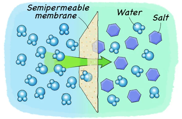 The salt water osmosis process