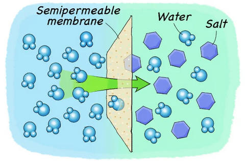 The salt water osmosis process