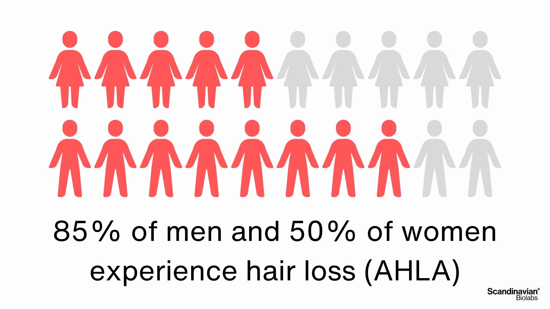 men and women hair loss statistics
