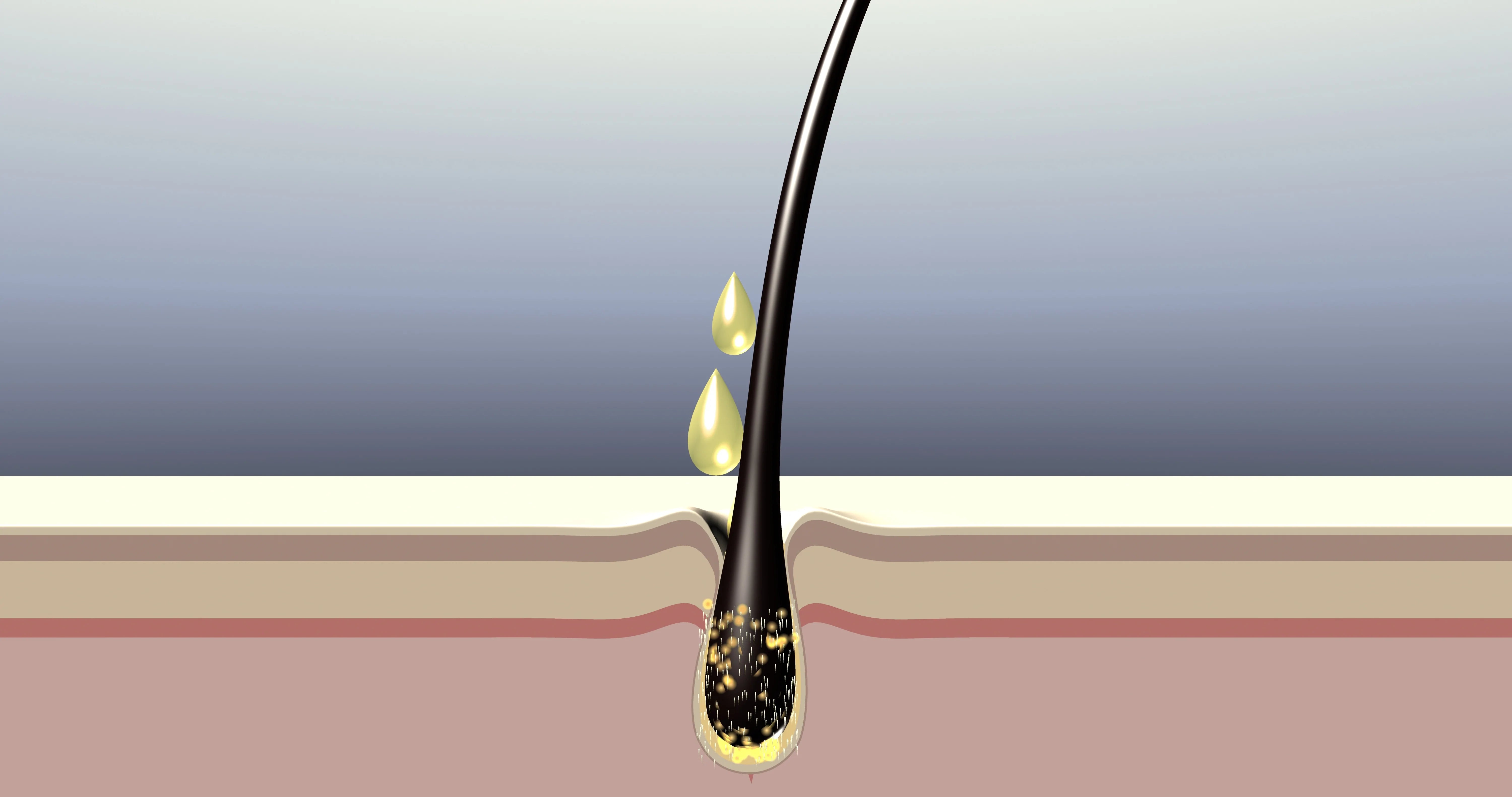 nioxin vs rogaine