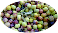 olive-tonda-iblea