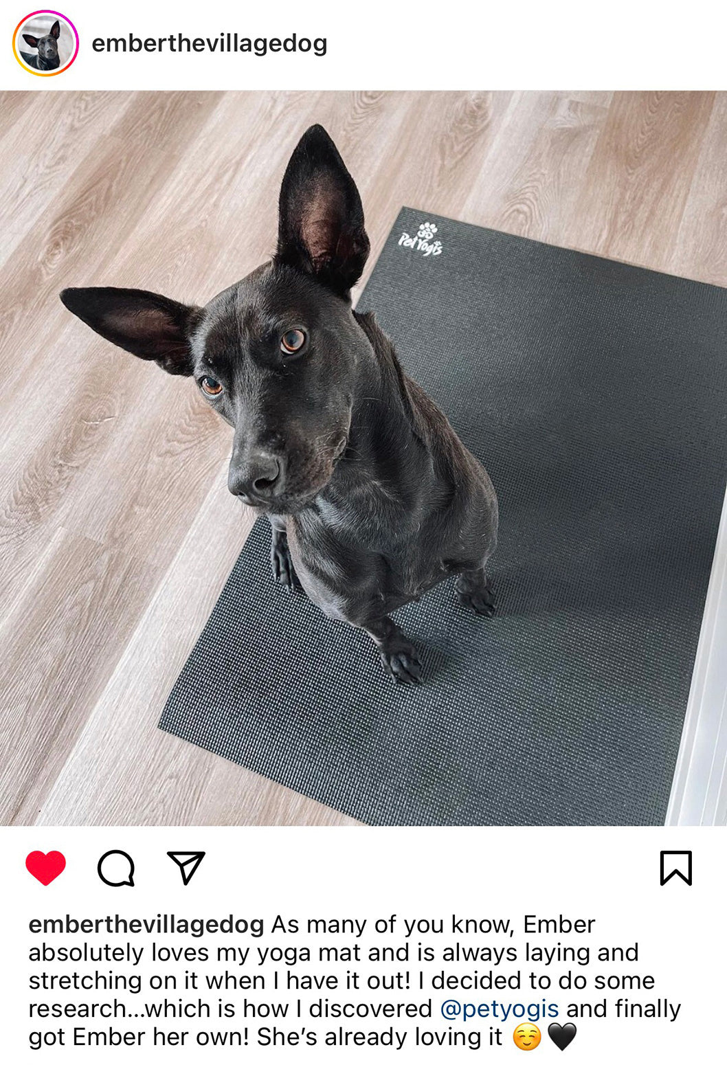 Ember The Village Dog on a black pet yoga mat