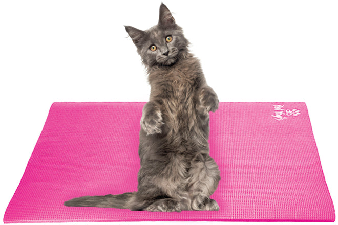 Yoga Cat Mat [Free USA Shipping] - ROAR Cats 