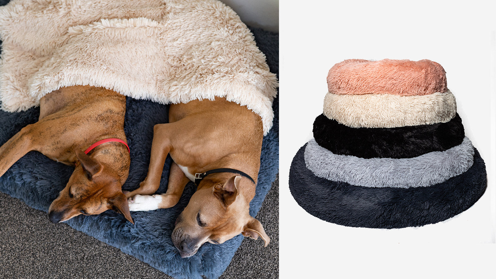 Orthopedic dog bed recommendations