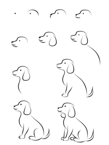 Hoelahoep Ik was mijn kleren Verrast Een hond tekenen of schilderen - In 6 stappen uitgelegd