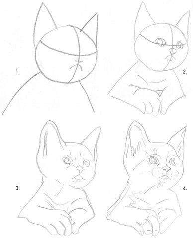 Gepland stof in de ogen gooien Symmetrie 5 Tips: Kat leren schilderen of tekenen - Painting Expert