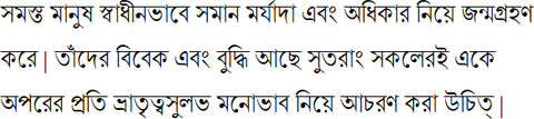 Bengali sample text