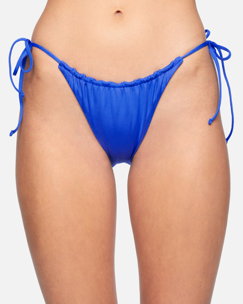 Champion Women's Print Bikini Underwear (Navy, Size 12)