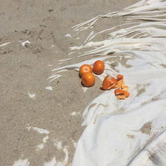 Oranges on the sand