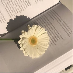Flower on a book