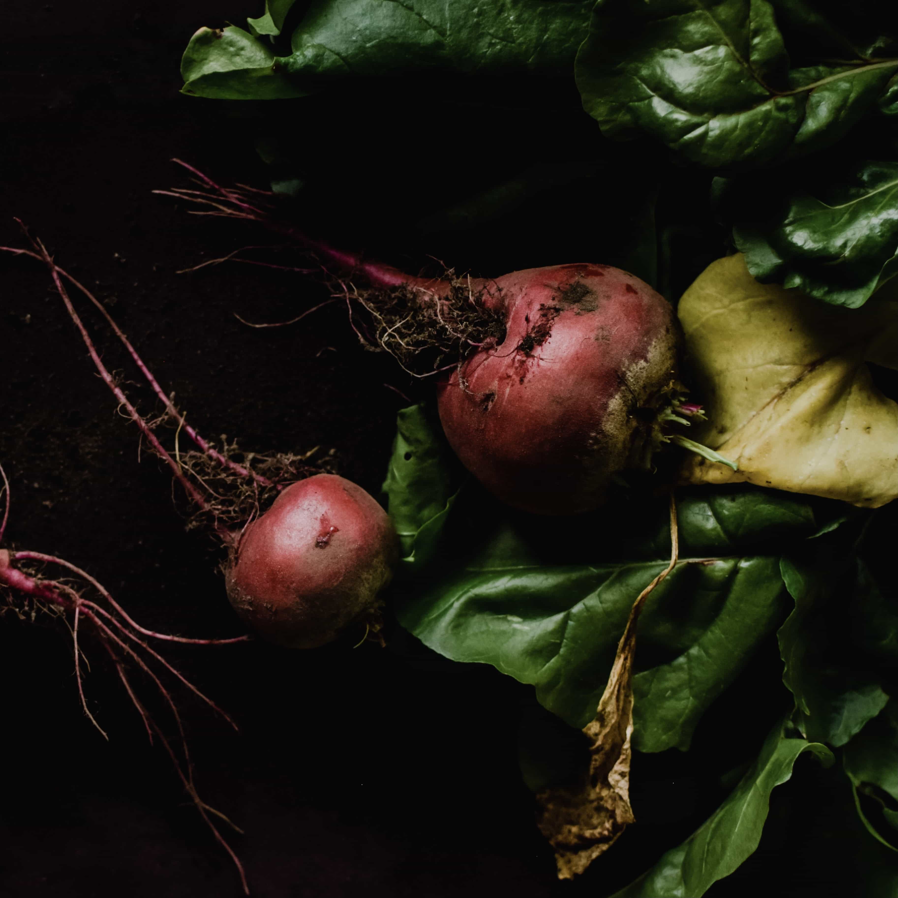 Perfumes With Vegetable Scents Are Trending, So Do We All Want To Smell  Like Carrots Now? (They actually smell great)