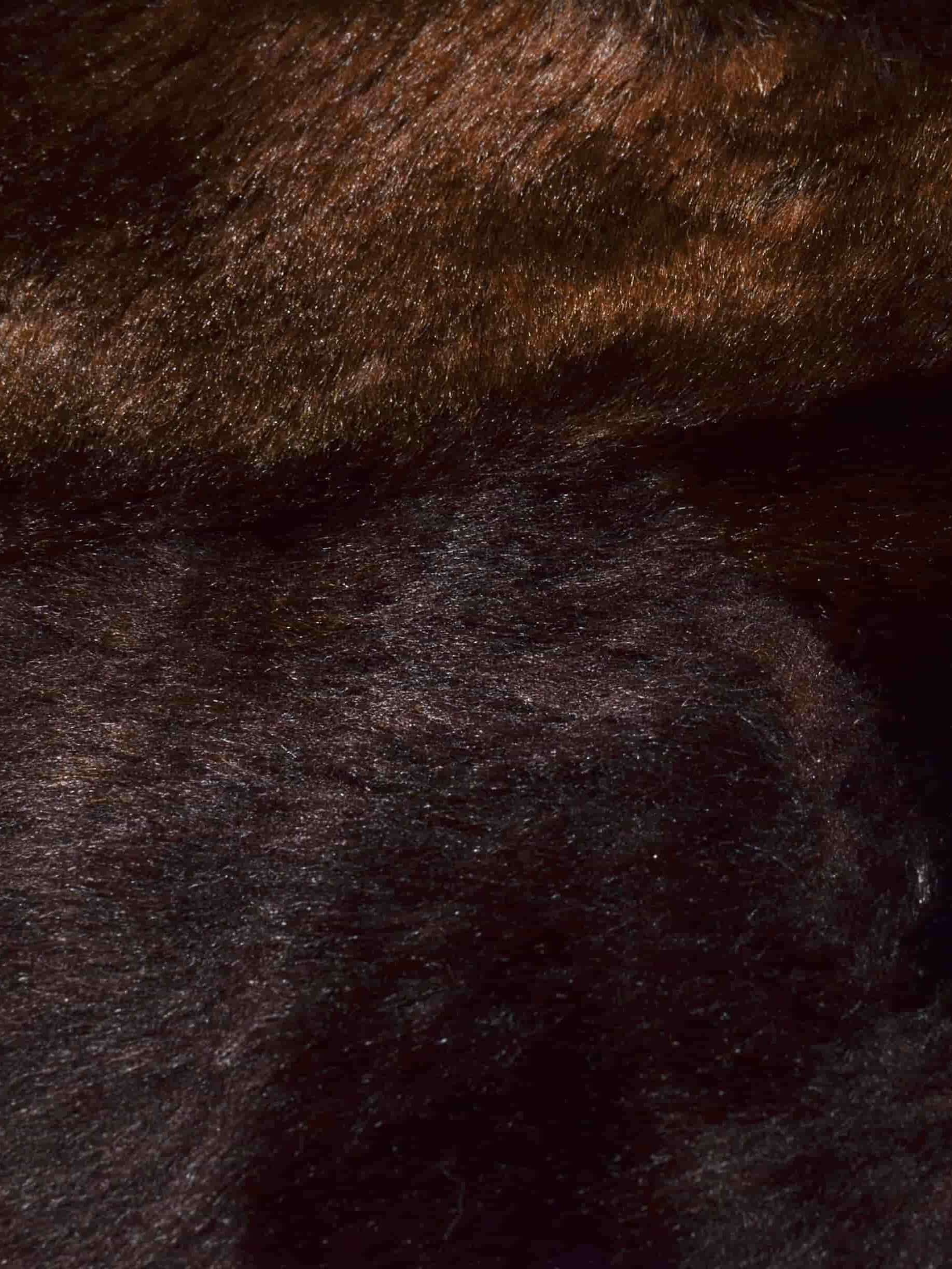 brown animal fur