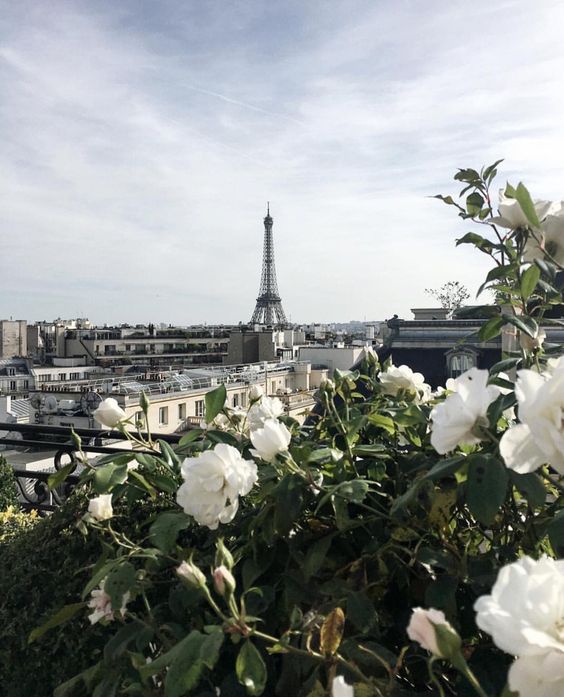 Eiffel Tower view Paris