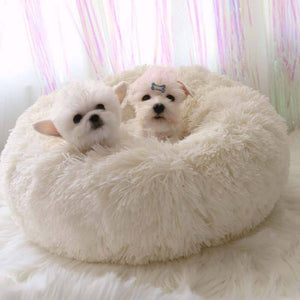 Mother's love--Deep sleep dog nest cat nest