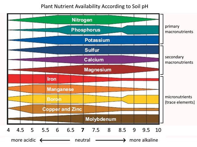 Plant Nutrient Availability According to Soil pH