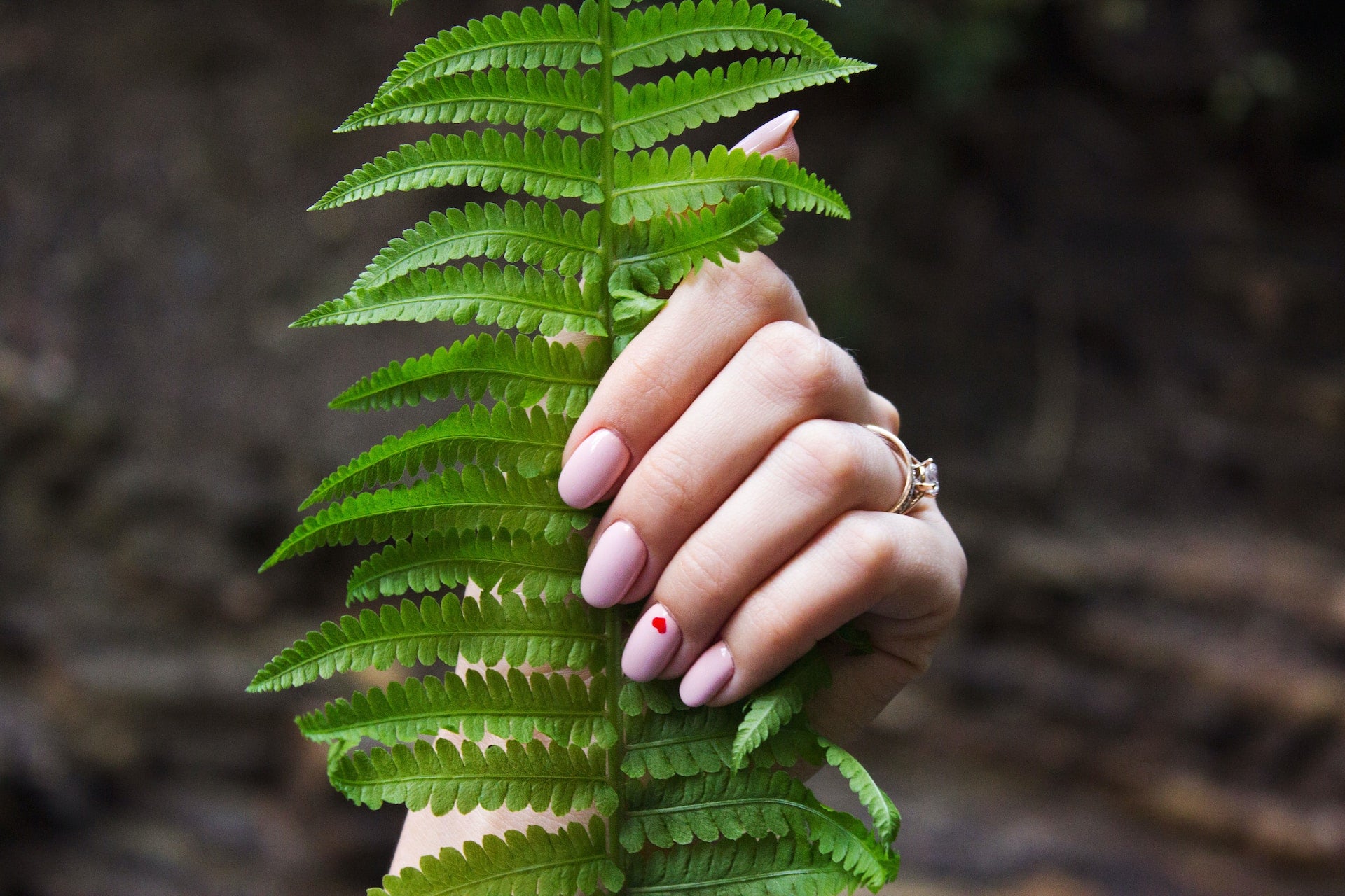 Hand With Heart Valentine’s Day Nail Art Holding Fern Leaf 