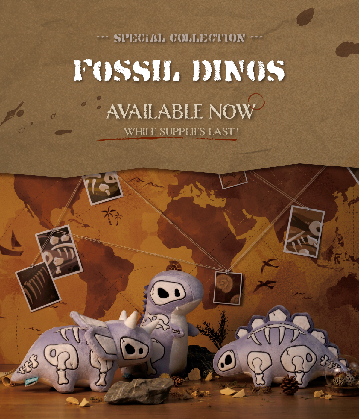 [2024]02.22_Fossil_Launch_Email_-1.png__PID:3e774b65-2cc9-4dfc-803f-e317a3e696a0