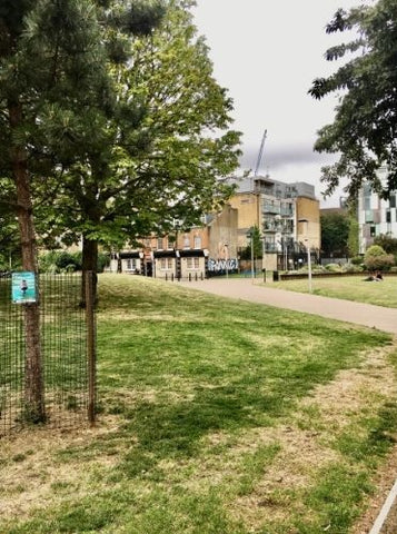 Mint Street Park in Southwark