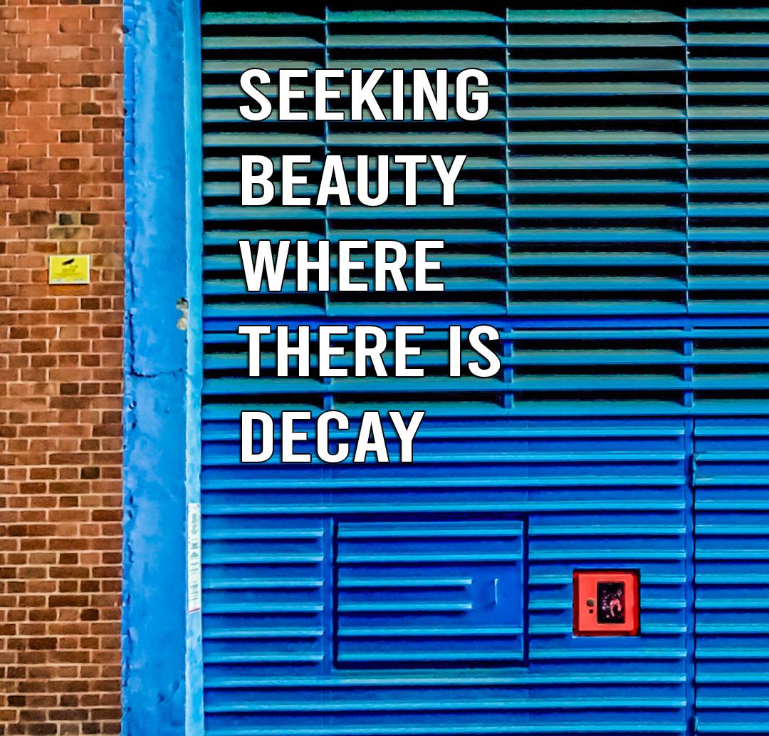 Seeking beauty where there is decay
