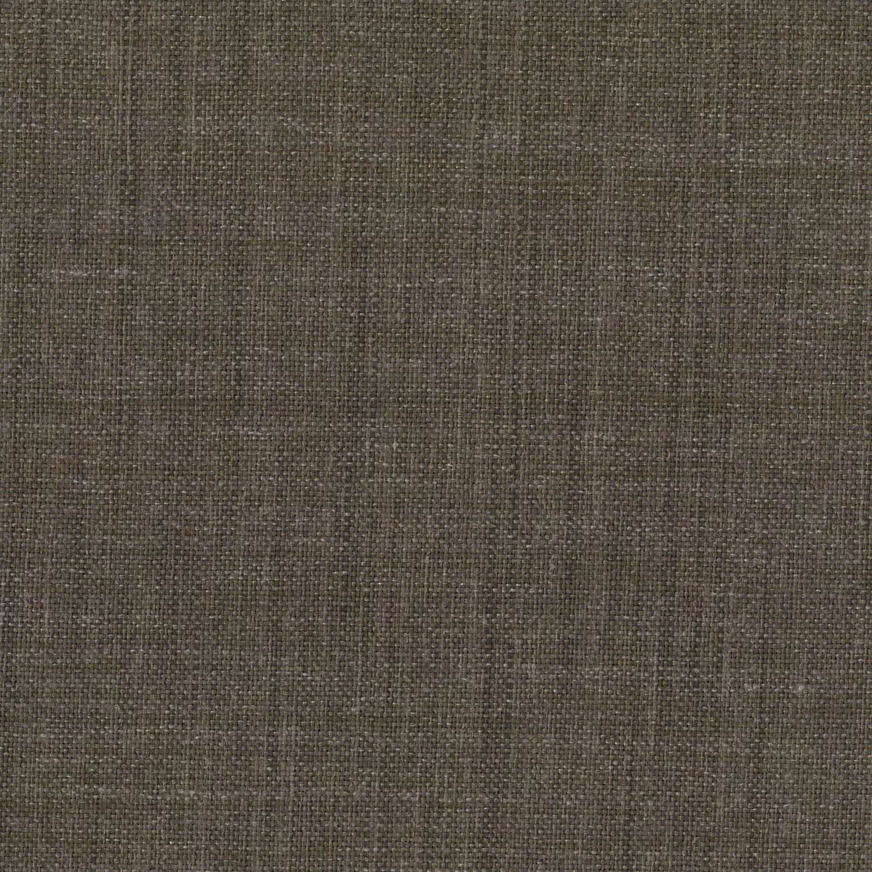 FOV02BARK.webp__PID:7523d28c-ed49-45b5-b0bb-4d09eb9e9f01