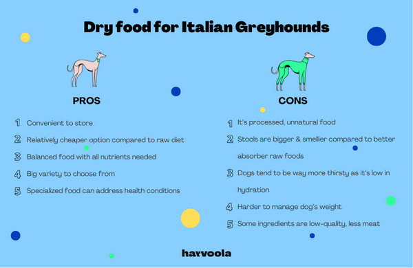 dry food for italian greyhounds pros and cons harvoola
