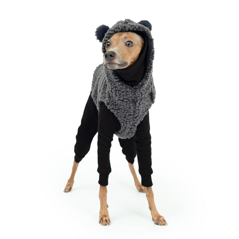 italiangeryhound teddy bear vest and black onesie