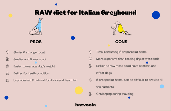 raw diet for italian greyhounds pros and cons