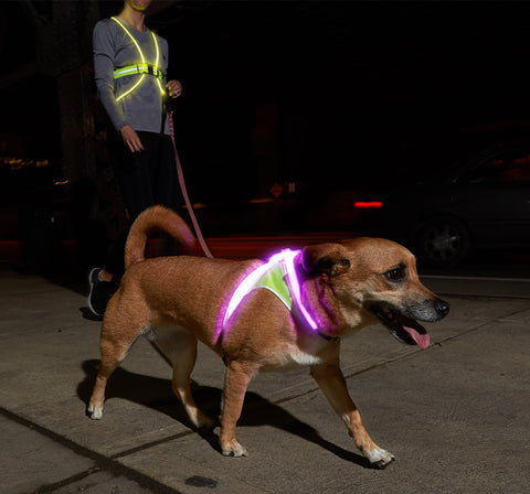 Lighted Visibility vest