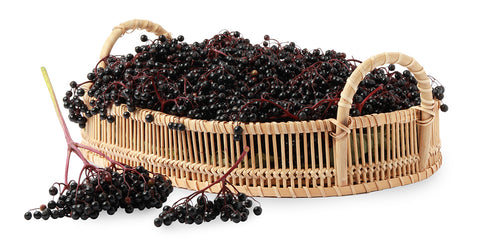 Elderberrys In A Basket Photo